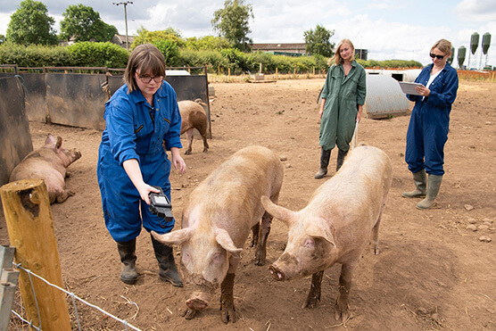 university of leeds research innovation school earth environment farm photo