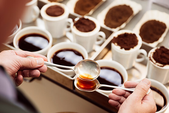 tea testing yorkshire photo