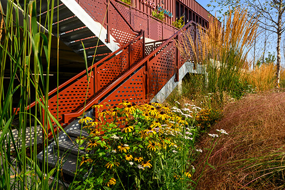 landscape architecture planting rotherham photo